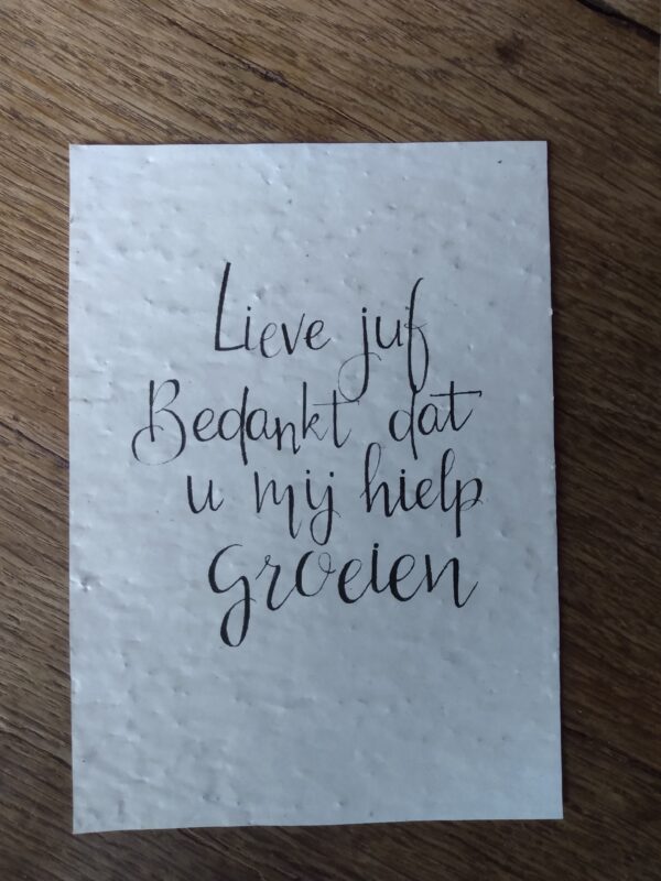 Kaart met zomerbloemzaadjes: Lieve juf bedankt dat u mij hielp groeien - Afbeelding 2